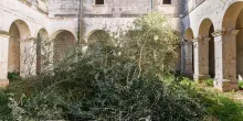 Al via la Comunit&agrave; energetica dei cittadini
