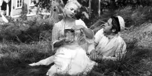 Il giardino nel cinema: cura, palestra dei sensi, luogo dell&rsquo;anima&hellip;