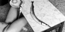 Francesca Woodman, mio corpo acerbo, soglia dell&rsquo;altrove