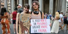 L&rsquo;Ue &laquo;sorveglia&raquo; ma non ferma l&rsquo;iter della legge sulla caccia