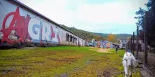 Agripunk, rifugio antispecista, rischia la chiusura