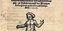 Bambino di Babilonia, diffusione persistente di una falsa notizia
