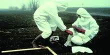 Cinquanta anni da Seveso, un crimine di pace