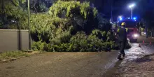 Emilia-Romagna, un altro nubifragio: un morto e tanti danni