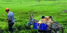 Fernando Garc&iacute;a-Dory, agroecologista