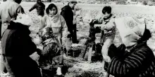 Haneda Sumiko, una vita per il documentario