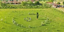Clima, le strade degli alberi sono infinite
