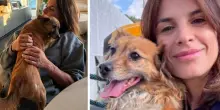 Elisabetta Canalis, morto il cane Charlie. La foto straziente per l'addio: «Skyler ti ha portato lo stesso con noi al guinzaglio»
