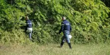 Cadavere di un uomo nascosto tra la vegetazione del parco della Gazzera: era lì da giorni. I resti trovati dalla cagnolina di una donna