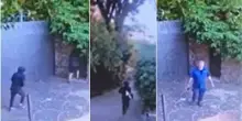 Valentino, il video del blitz nella villa dello stilista: l?arrivo dei ladri, lo sparo della guardia giurata e la fuga dei malviventi