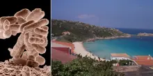 Escherichia Coli in Sardegna, scatta il divieto di balneazione: ecco dove. La mappa delle zone a rischio