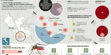 West Nile, l?allerta del ministero: «Mobilitati i medici di famiglia»