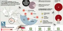 West nile, quanti nuovi casi oggi? Il bollettino: contagi dal Lazio al Veneto. Ed &egrave; allarme per quelli "nascosti"