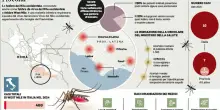 West Nile, contagiato un cavallo nel Catanese. Scatta disinfestazione straordinaria ?a Benevento