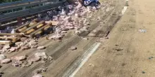 Camion perde un carico di tonno in autostrada: una marea di scatolette di tonno sommerge la carreggiata