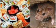 Topi tra i tavoli del sushi all you can eat, nel retro il dormitorio abusivo per 45 dipendenti: sequestrato il locale