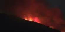 Vesuvio, rogo nel parco: in fiamme una pineta