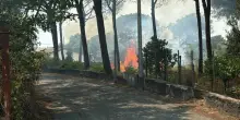 Fiamme a ridosso di alcune abitazioni: Ferragosto di paura nel parco del Vesuvio