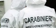 Cadavere di donna in decomposizione spunta dal terreno: ipotesi occultamento