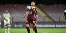 Salernitana, torna Knezovic: nuovi equilibri a centrocampo