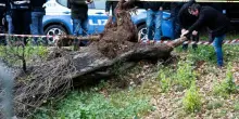 Allerta vento su Roma. «Chiusi parchi, cimiteri e strade a rischio». Ecco l'ordinanza del sindaco