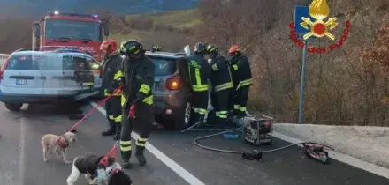 Rieti, auto contro il guardrail sulla Salaria: morto Adriano Franchi dirigente della Camera di commercio a Roma. Salvi i due cani