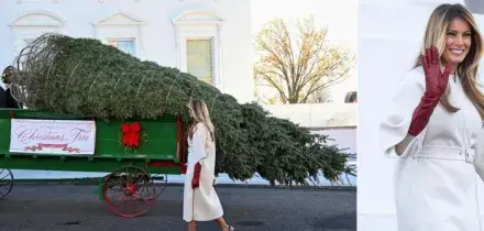 Melania Trump riceve l'albero di Natale alla Casa Bianca: abete alto 7,6 metri esposto nella Blue Room