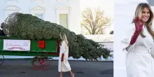Melania Trump prepara la Casa Bianca per le feste: arriva l'albero di Natale alto 8 metri