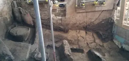 Nuove scoperte nella villa degli schiavi a Pompei: fave e frutta per mantenere in salute gli schiavi