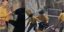 Orso nero attacca il suo addestratore durante lo spettacolo, terrore in Cina. &laquo;Basta show con gli animali&raquo;