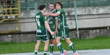 L'Avellino soffre ma ferma il Venezia: 1-1 al Partenio