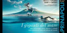 I 60 della maratona Capri-Napoli alla Canottieri