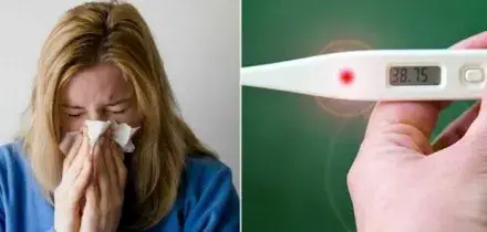 Influenza K, cosa fare: come curarla, durata e sintomi. Bassetti: &laquo;Attenzione, dopo un breve miglioramento torna la febbre forte&raquo;