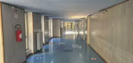 Morte per un'intossicazione alimentare a Campobasso: chi sono Antonella Di Ielsi e la figlia Sara Di Vita, il marito (commercialista) ricoverato