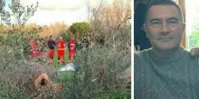 Walter Basile muore schiacciato da un albero: il dramma durante i lavori di potatura della pianta
