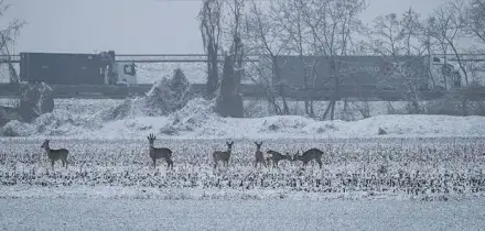 Meteo, neve e piogge al Nord e 20 gradi al Sud: Italia spaccata in due. E da venerd&igrave; torna il maltempo