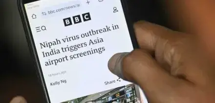 Virus Nipah, test del primo vaccino su 60 volontari: per l'Oms ci sono due fattori di grande rischio