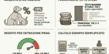 Animali domestici, dal bonus per il veterinario alle detrazioni fiscali: come fare domanda