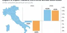 Export: nel 2025 torna positivo +3,3%, crescita valore +0,7%: i dati dell'Istat