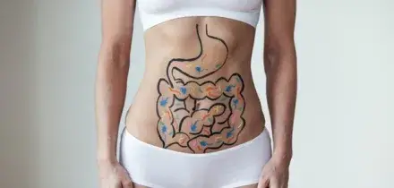 &laquo;Il declino cognitivo parte dall'intestino&raquo;: lo studio sul microbioma che spiega il legame con la memoria