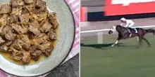 Carne di cavallo da corsa servita come spezzatino nella mensa dei poveri: la scoperta grazie al microchip nel piatto