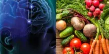 Dieta Mind, il regime alimentare che mantiene giovane il cervello (e non solo): dalla frutta secca ai legumi, tutti i cibi consigliati