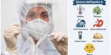 Epatite A: cos'&egrave;, cause e sintomi. Diffusione &laquo;10 volte superiore alla media&raquo;: stop a frutti di mare e pesce crudo