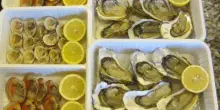 Frutti di mare senza etichetta, sequestro nel Casertano. &laquo;Erano privi di qualsiasi indicazione obbligatoria&raquo;