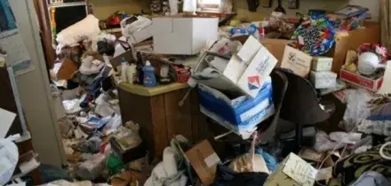 Accumulatrice seriale muore sepolta dai suoi acquisti online: usava una seconda casa per raccoglierli