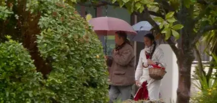 Famiglia nel bosco, Catherine rivede i bimbi per 5 ore: cesto con i libri e un lungo abbraccio. I piccoli restano a Vasto