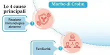 Intestino, morbo di Chron e rettocolite: i sintomi, le cure, l'alimentazione