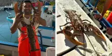 Pesca record nel Salento: catturato un astice gigante di sei chili