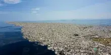 Oceano Pacifico, una grande isola di plastica &egrave; diventata l'habitat naturale di 46 animali invertebrati