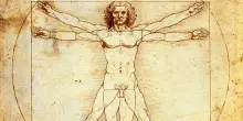 Leonardo da Vinci teorizz&ograve; 500 anni fa strutture del cuore "impossibili". Gli scienziati oggi dicono che aveva ragione